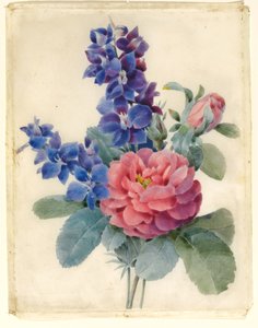 Flores, rosas y espuela de caballero